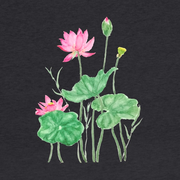 pink lotus flowers watercolor by colorandcolor